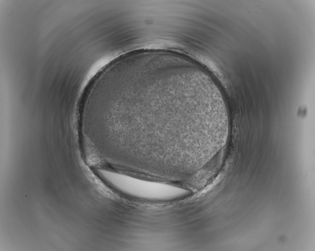 X0000090731122200708101633