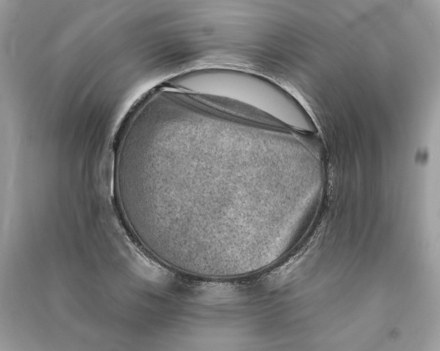 X0000090731123200708101633