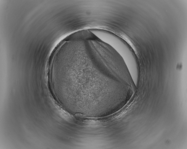 X0000090731124200708101633