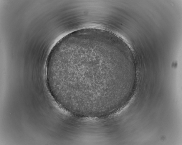 X0000090731125200708101633