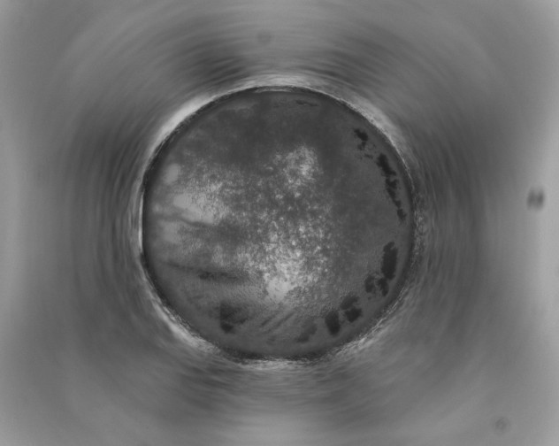 X0000090731127200708101633