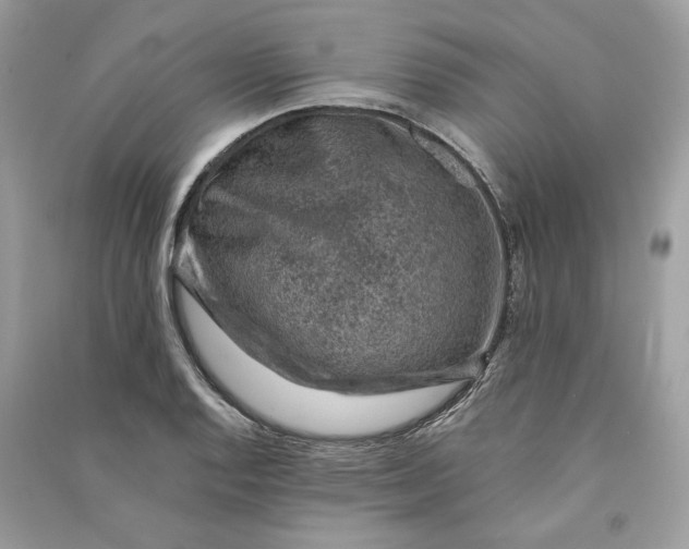 X0000090731128200708101633