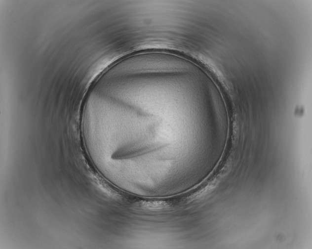 X0000090731129200708101633