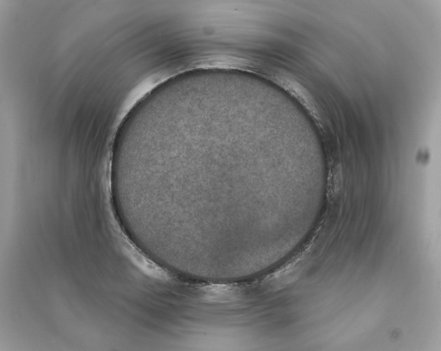 X0000090731130200708101633