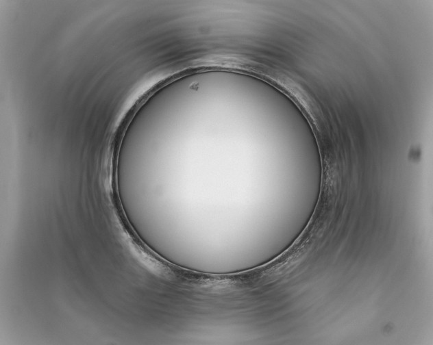 X0000090731131200708101633