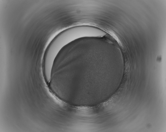 X0000090731132200708101633