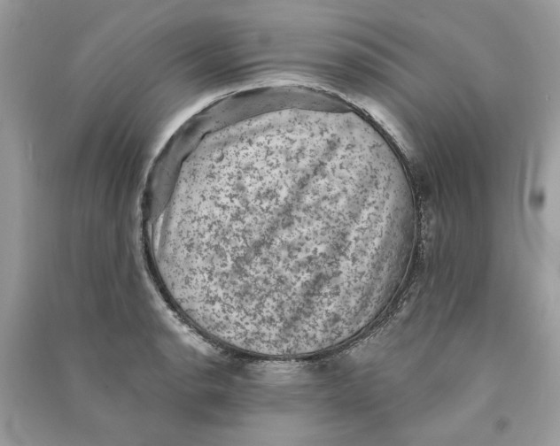 X0000090731134200708101633