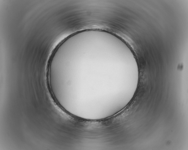 X0000090731135200708101633