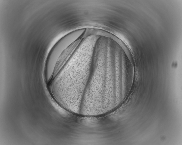 X0000090731136200708101633