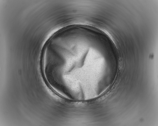 X0000090731139200708101633