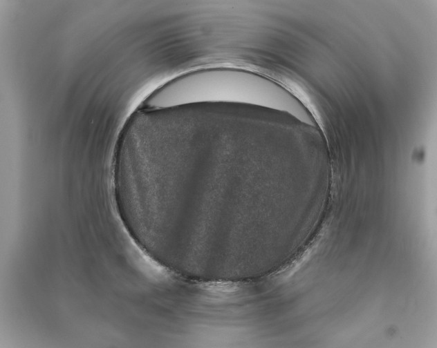 X0000090731141200708101633