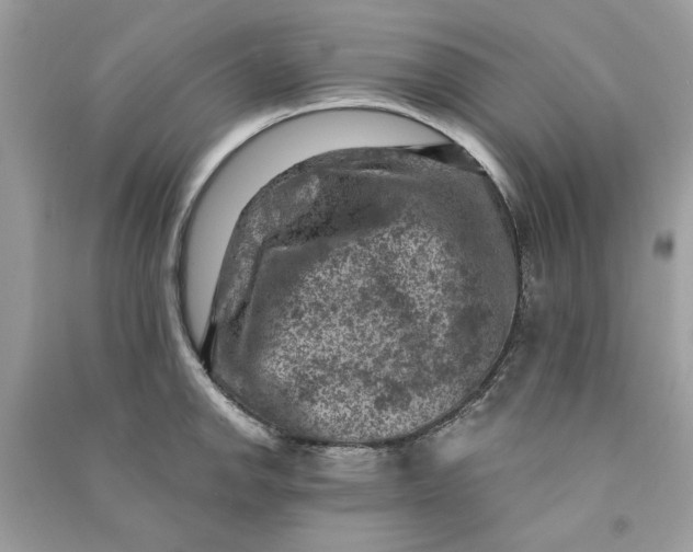 X0000090731142200708101633