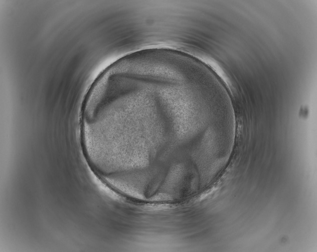 X0000090731143200708101633