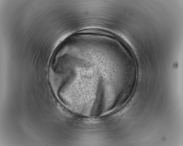 X0000090731145200708101634