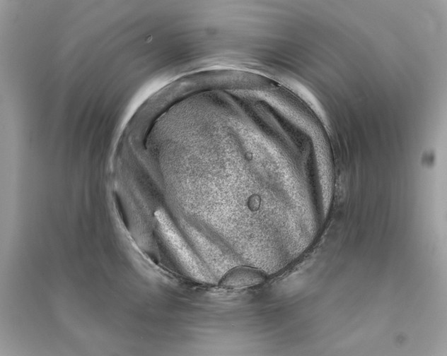 X0000090731146200708101634