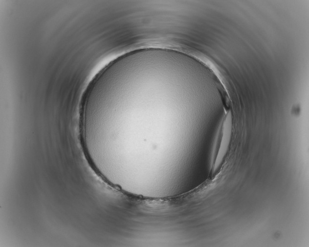 X0000090731147200708101634