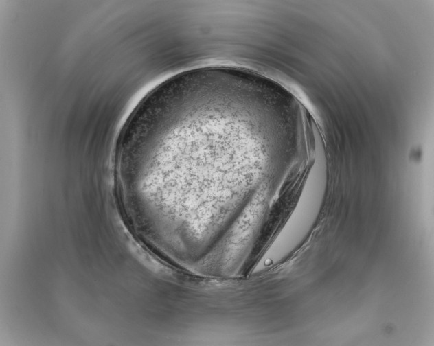 X0000090731148200708101634