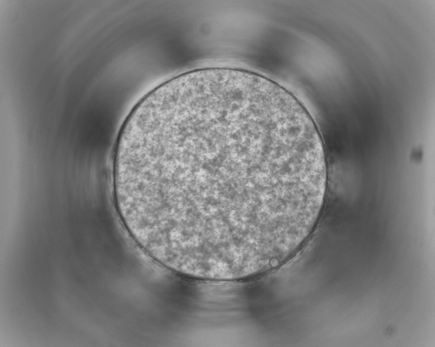 X0000090731150200708101634