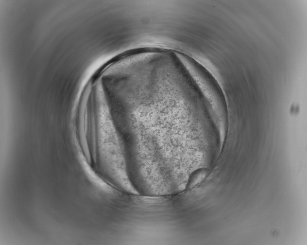 X0000090731152200708101634