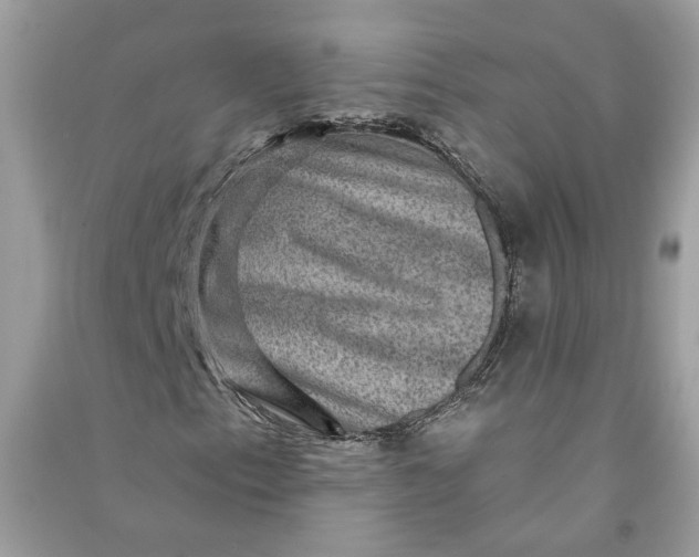 X0000090731153200708101633