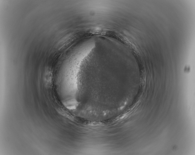 X0000090731154200708101633