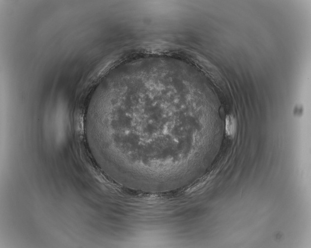 X0000090731155200708101633