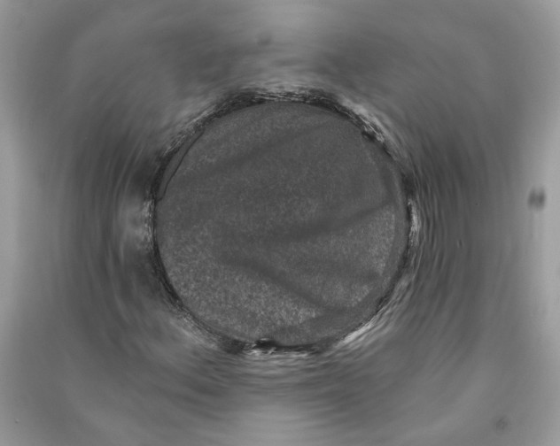 X0000090731156200708101633