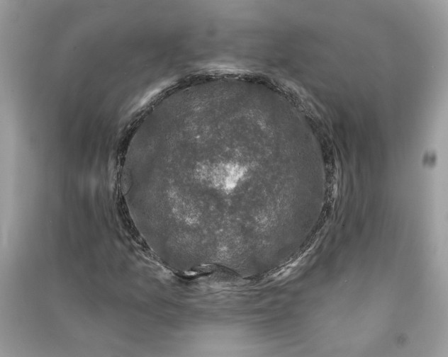 X0000090731157200708101633