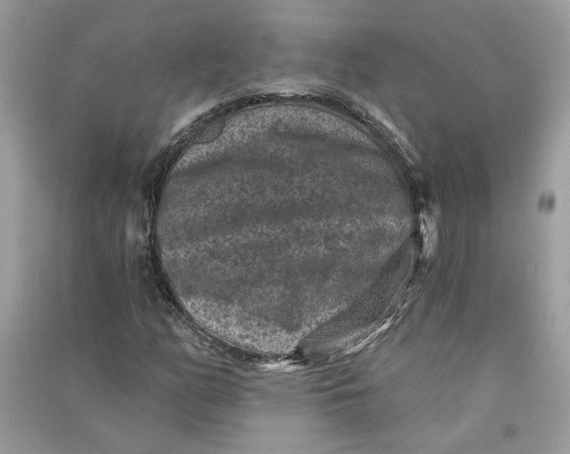 X0000090731158200708101633