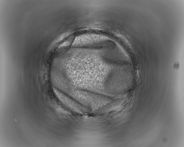 X0000090731159200708101633