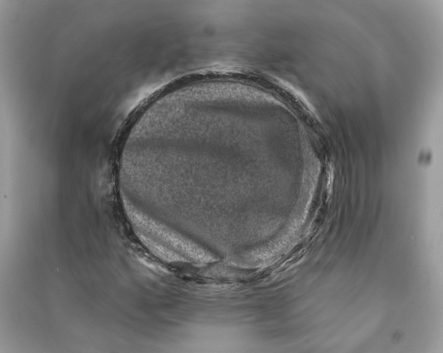 X0000090731160200708101633