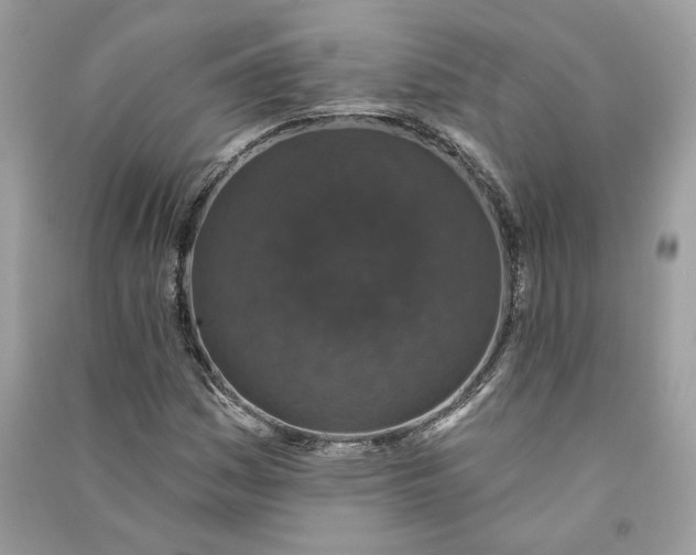 X0000090731161200708101633