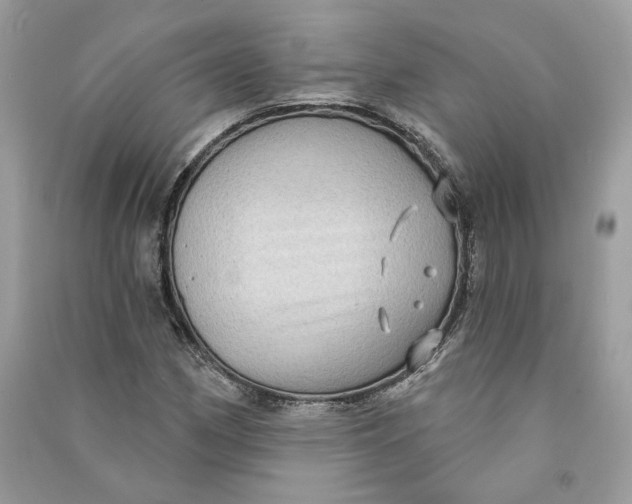 X0000090731162200708101633