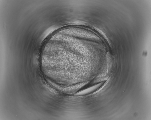 X0000090731163200708101633