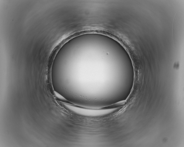 X0000090731165200708101633