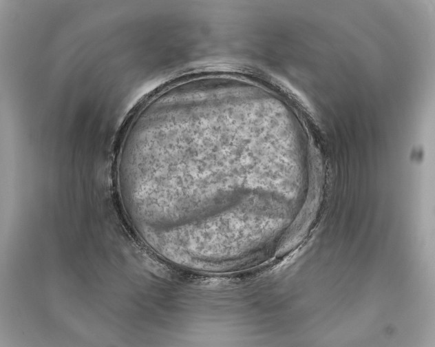 X0000090731166200708101633