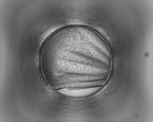 X0000090731167200708101633