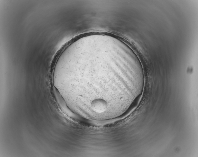 X0000090731168200708101633