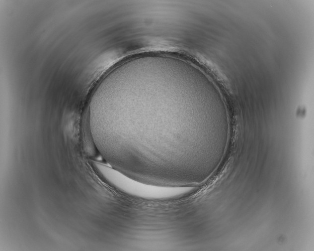 X0000090731169200708101633