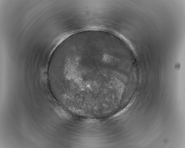 X0000090731170200708101633