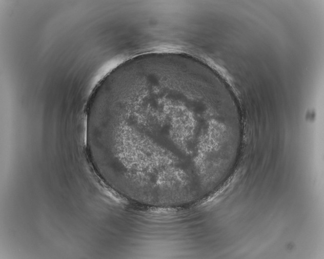 X0000090731171200708101633