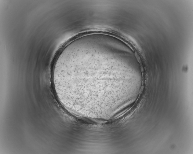 X0000090731172200708101633