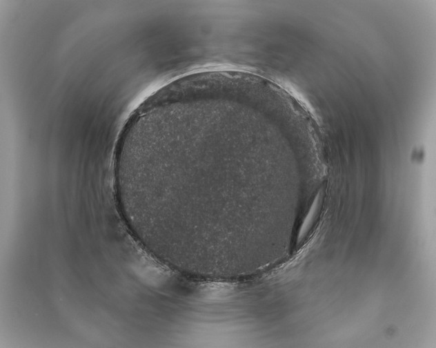 X0000090731173200708101633