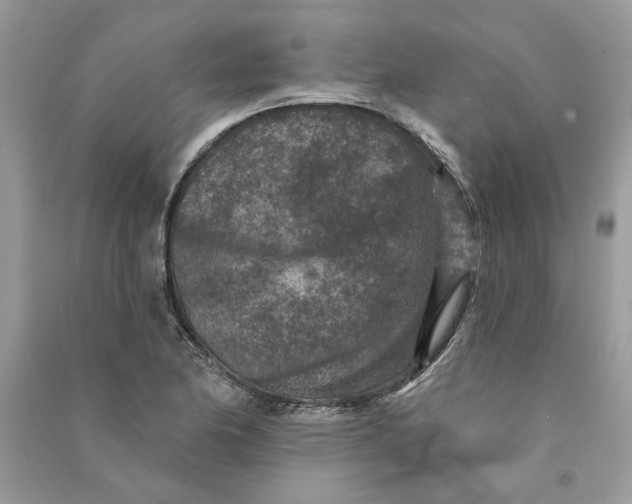 X0000090731174200708101633