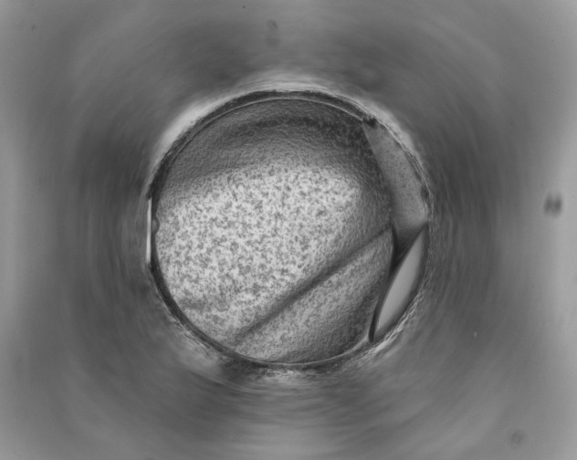 X0000090731175200708101633