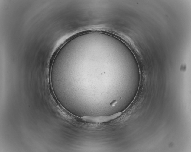 X0000090731176200708101633