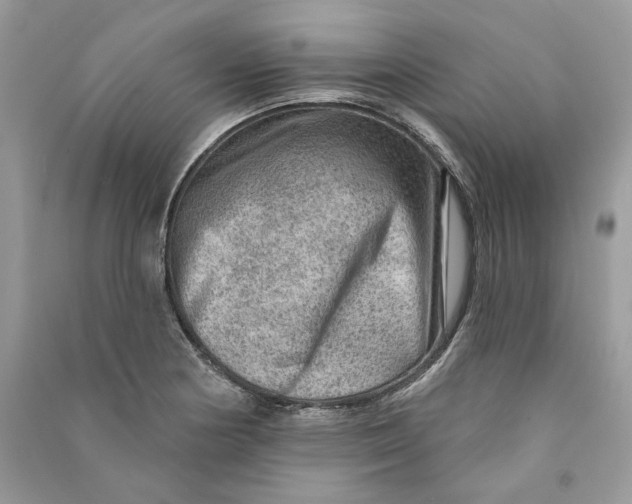 X0000090731178200708101633