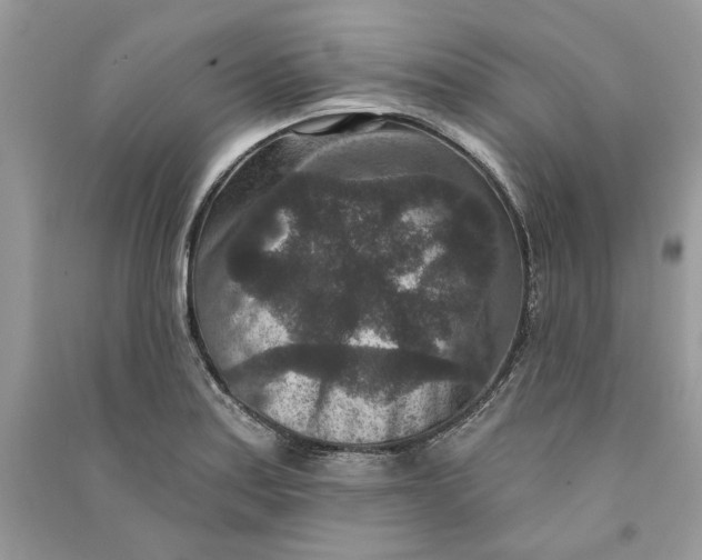 X0000090731179200708101633