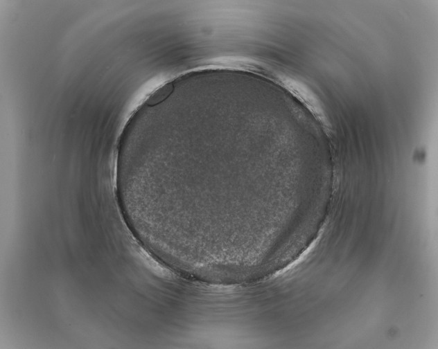 X0000090731180200708101633