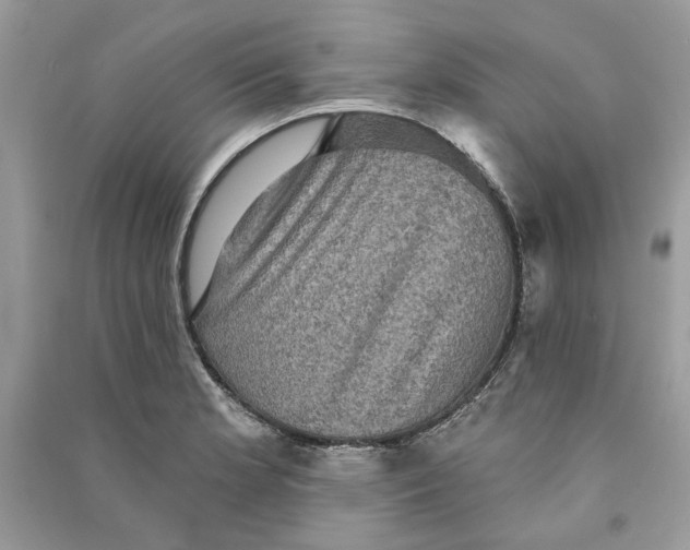 X0000090731181200708101633